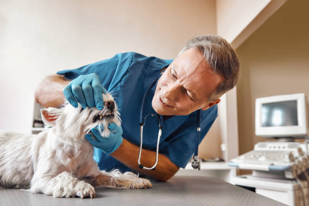 Best Weekend Emergency Dentist in Corbin, KY